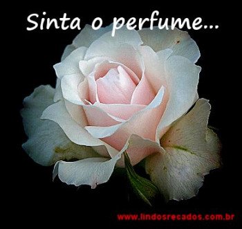 <b><center>Sinta meu perfume...</b></center>