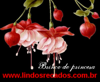 <b><center>Brinco-de-princesa</b></center>