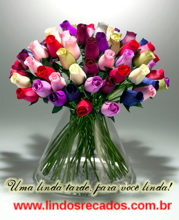 <b><center>Boa tarde.</b></center>