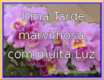 <b><center>Boa Tarde</b></center>