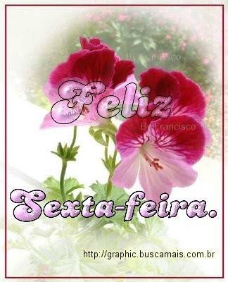 <b><center>Sexta-feira</b></center>