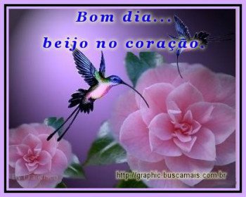 <b><center>Bom dia</b></center>